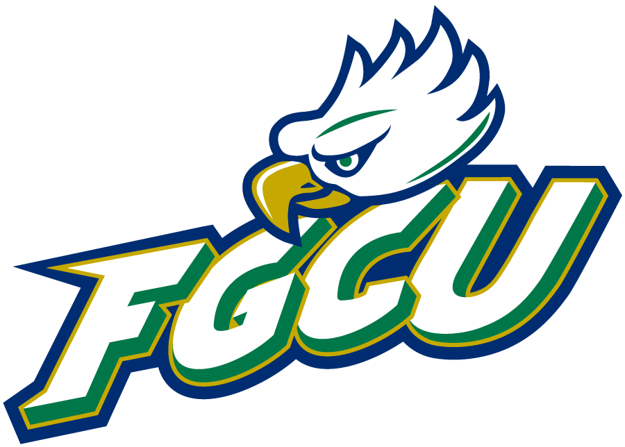 Florida Gulf Coast Eagles 2022-Pres Primary Logo diy iron on heat transfer